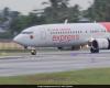 Air India Express despide a 30 tripulantes de cabina, un día después de la baja por enfermedad masiva
