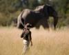 La reciente sentencia del Servicio de Pesca y Vida Silvestre de EE. UU. genera un nuevo debate sobre la caza de elefantes