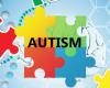 Un avance genético descubre por qué el gen del autismo puede causar discapacidad intelectual –