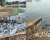 No solo es alivio: las lluvias también traen aguas residuales al lago Sheelavanthakere